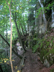 Absturztrail